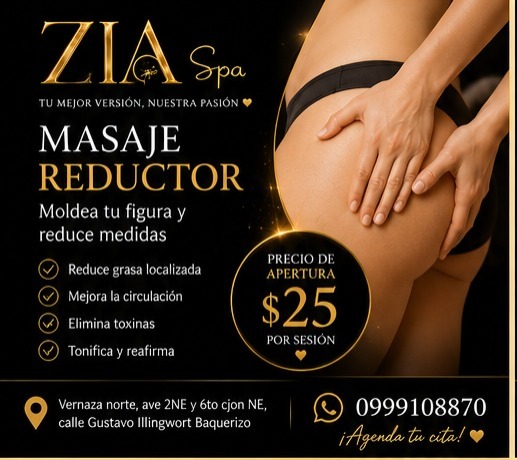 Reductor